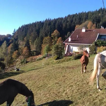 Holiday home Avec Terrasse, Wifi Et Garage Moto A - Fr-1-589-133